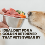Ideal Diet for a Golden Retriever That Vets Swear By
