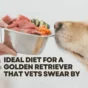 Ideal Diet for a Golden Retriever: Full Life-Stage Nutrition Guide 17 Ideal Diet for a Golden Retriever
