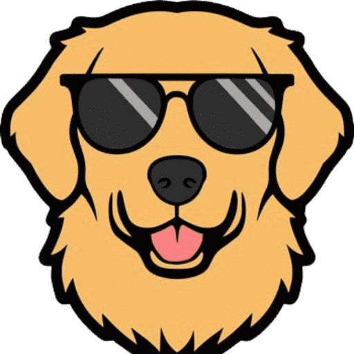 All About Golden Retriever