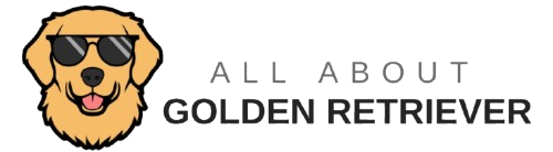 All About Golden Retriever