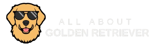 All About Golden Retriever`