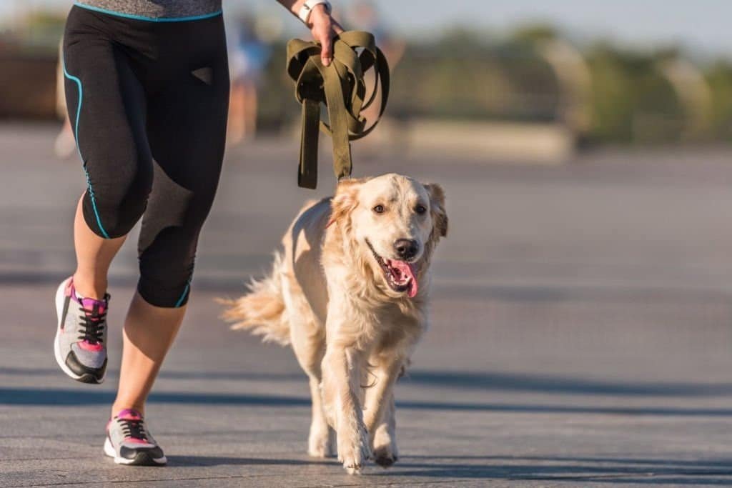 30–60–90 Day Training Plan