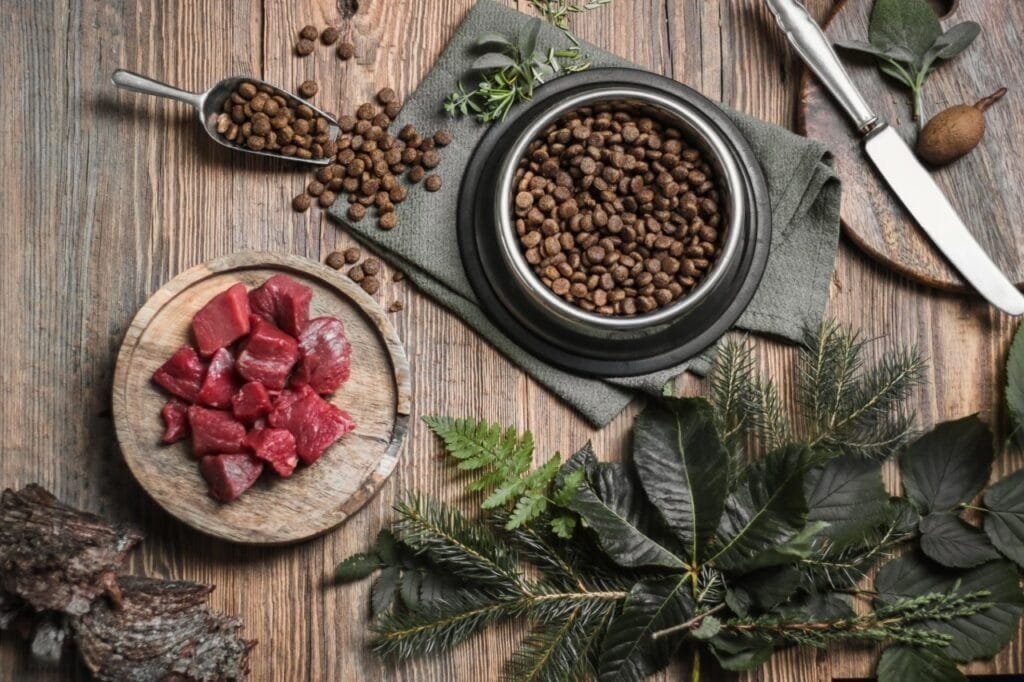 Which Dog Foods Work Best for Golden Retrievers