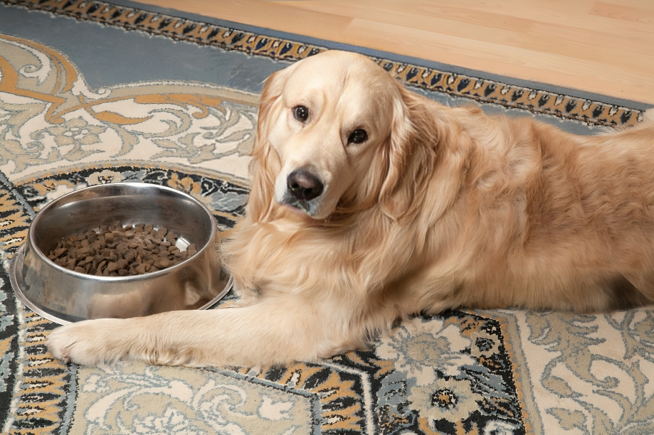 Food Reviews and Recommendations