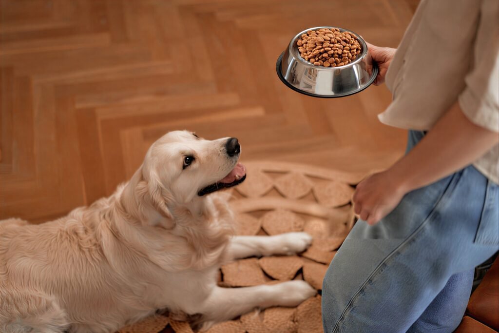 Feeding Guidelines for Golden Retrievers
