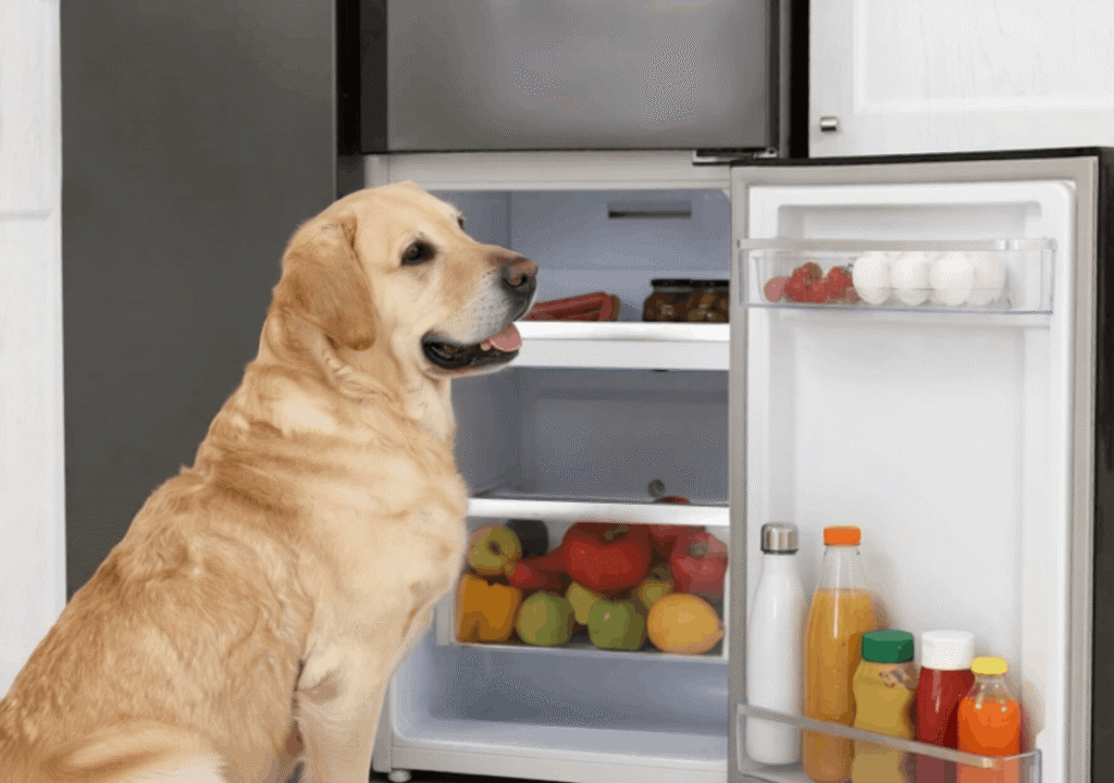 Foods to Include and Foods to Absolutely Avoid