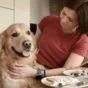Golden Retriever Diet & Nutrition