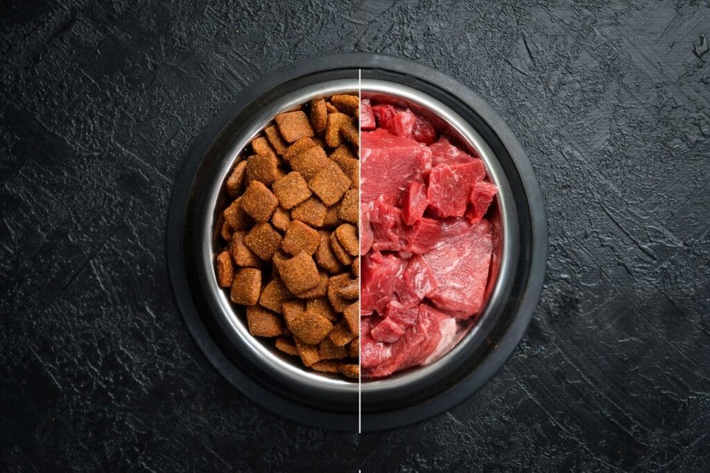 What "Daily Protein" Actually Means for a Golden Retriever