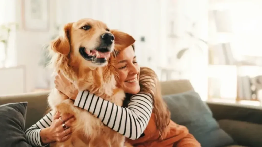 Best Diet for Golden Retriever Health Improvement