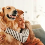 Best Diet for Golden Retriever Health Improvement
