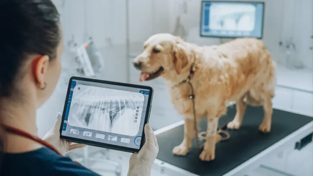 Step 1: Confirm Your Dog's Body Condition Score Before Changing Anything