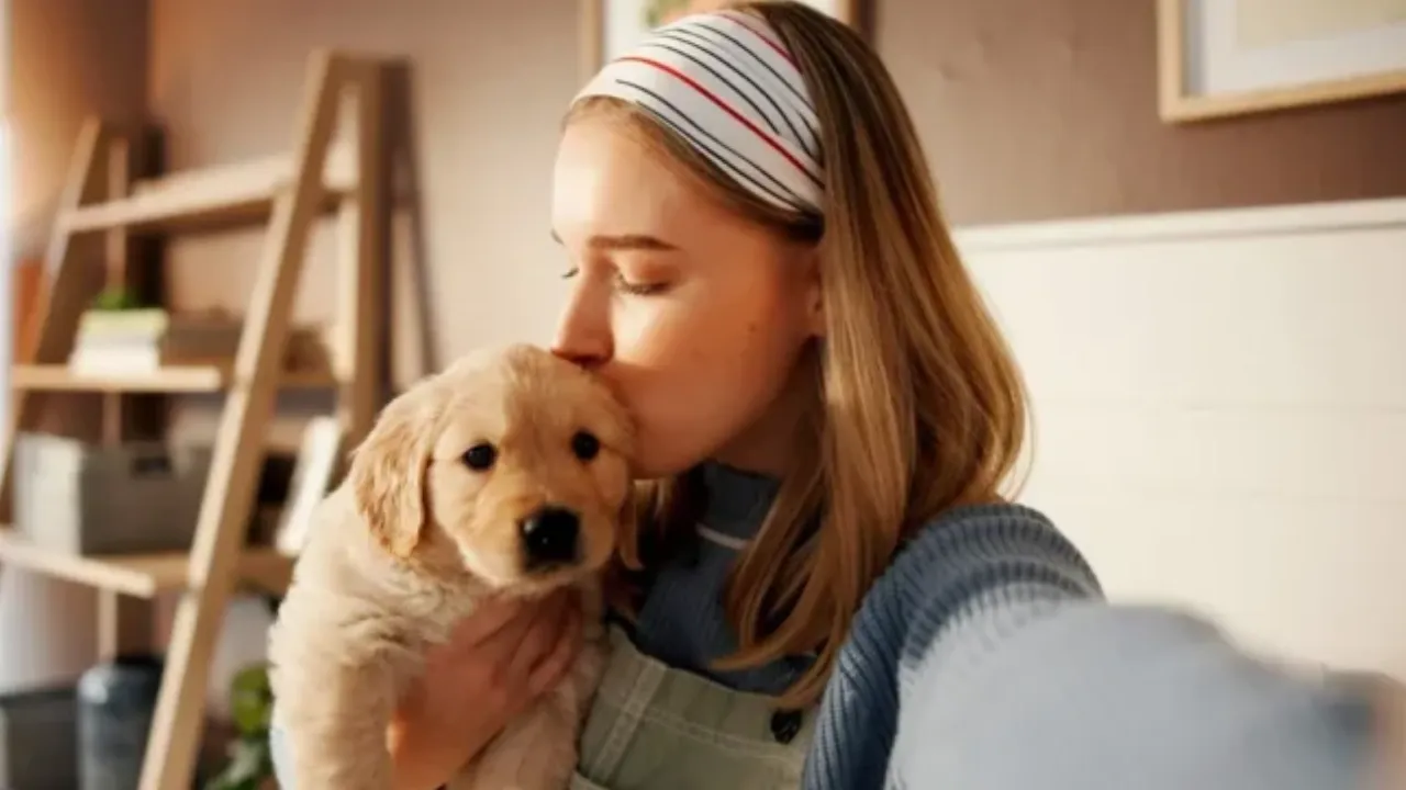 How to Take Care of a Golden Retriever Puppy (Proven Guide)