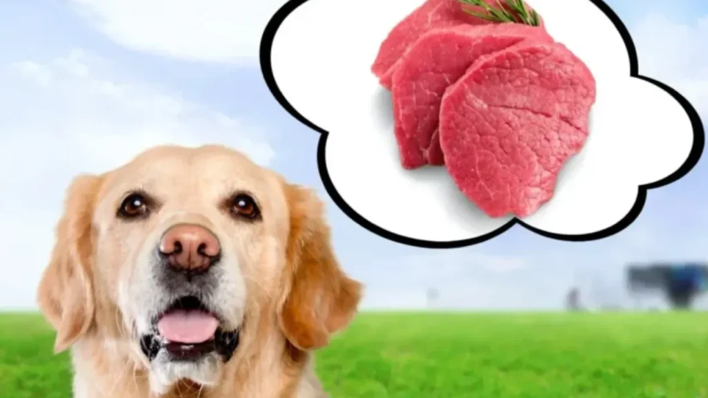 Natural Food Upgrades for Golden Retrievers