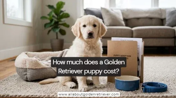 How much does a Golden Retriever puppy cost