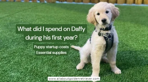 What did I spend on Daffy during his first year