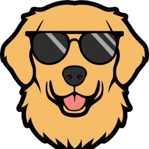 All About Golden Retriever