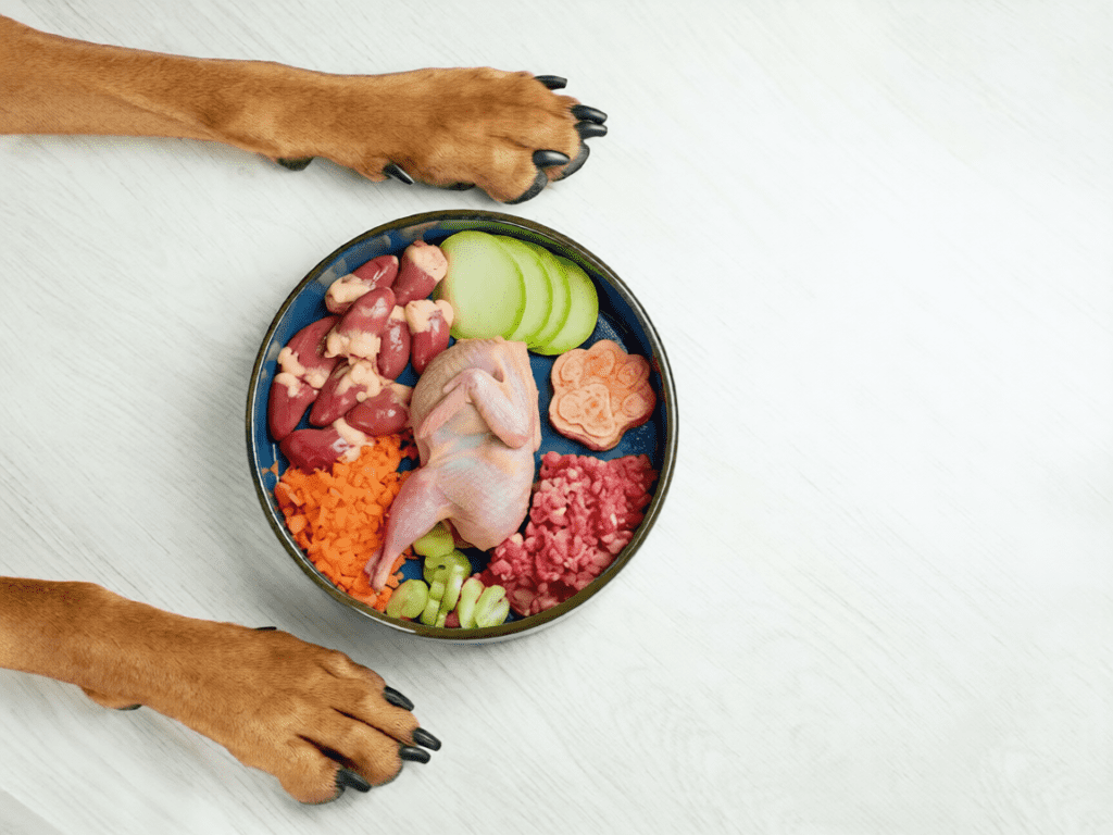 How Much Protein does a Golden Retriever Need Daily (With Real Gram Numbers)